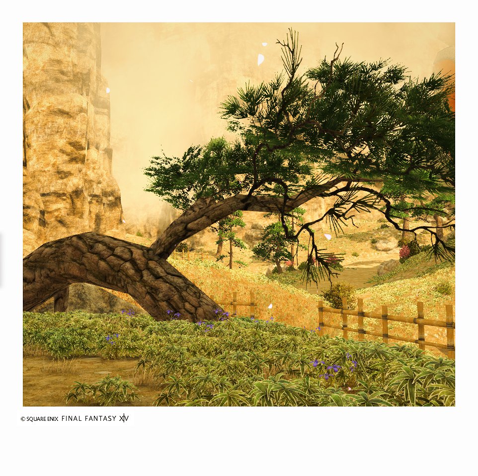 pariszelfora's tweet photo. Yanxia II
#ffxiv #finalfantasy14 #squareenix #gpose #yanxia #samurai https://t.co/rSg1D9G0OT