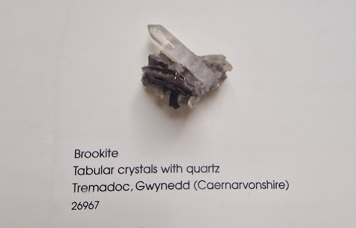 Clara (@thetinytomboy) on Twitter photo At the Natural History Museum and found this!
Apparently even nature knows that <a href="/brookswackerman/">brooks wackerman</a> "rocks" 🤘🤣 At the Natural History Museum and found this!
Apparently even nature knows that <a href="/brookswackerman/">brooks wackerman</a> "rocks" 🤘🤣