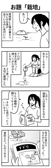 #1h4d 
お題「栽培」 