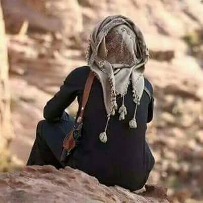 🎗️ ملهم 🎗️ tweet media