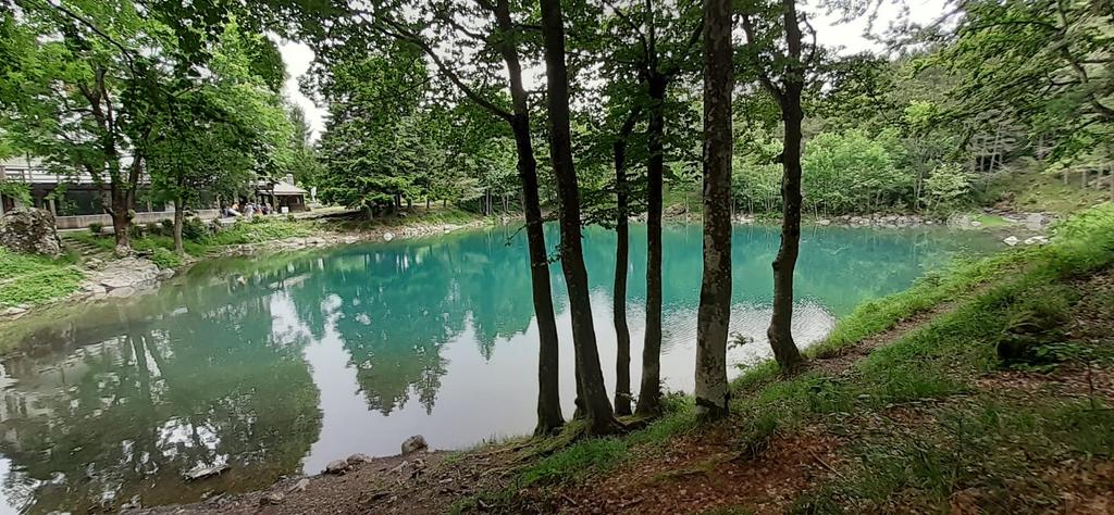 PARCO_AVETO's tweet photo. Anche questo fine settimana vi aspettiamo al Museo del Bosco #parcoaveto al lago delle Lame (questa mattina sono passati anche tanti cavalieri).
Oggi e domani con orario 10:30-16:30 con ingresso libero.
Ad agosto invece aperti tutti i giorni! https://t.co/W8Mch1IrlB