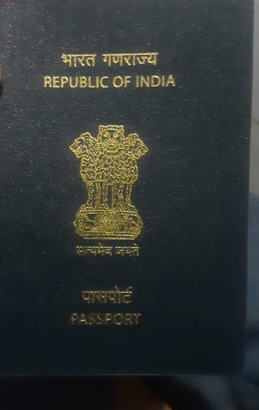 मकडा पीटर🕸️ tweet media