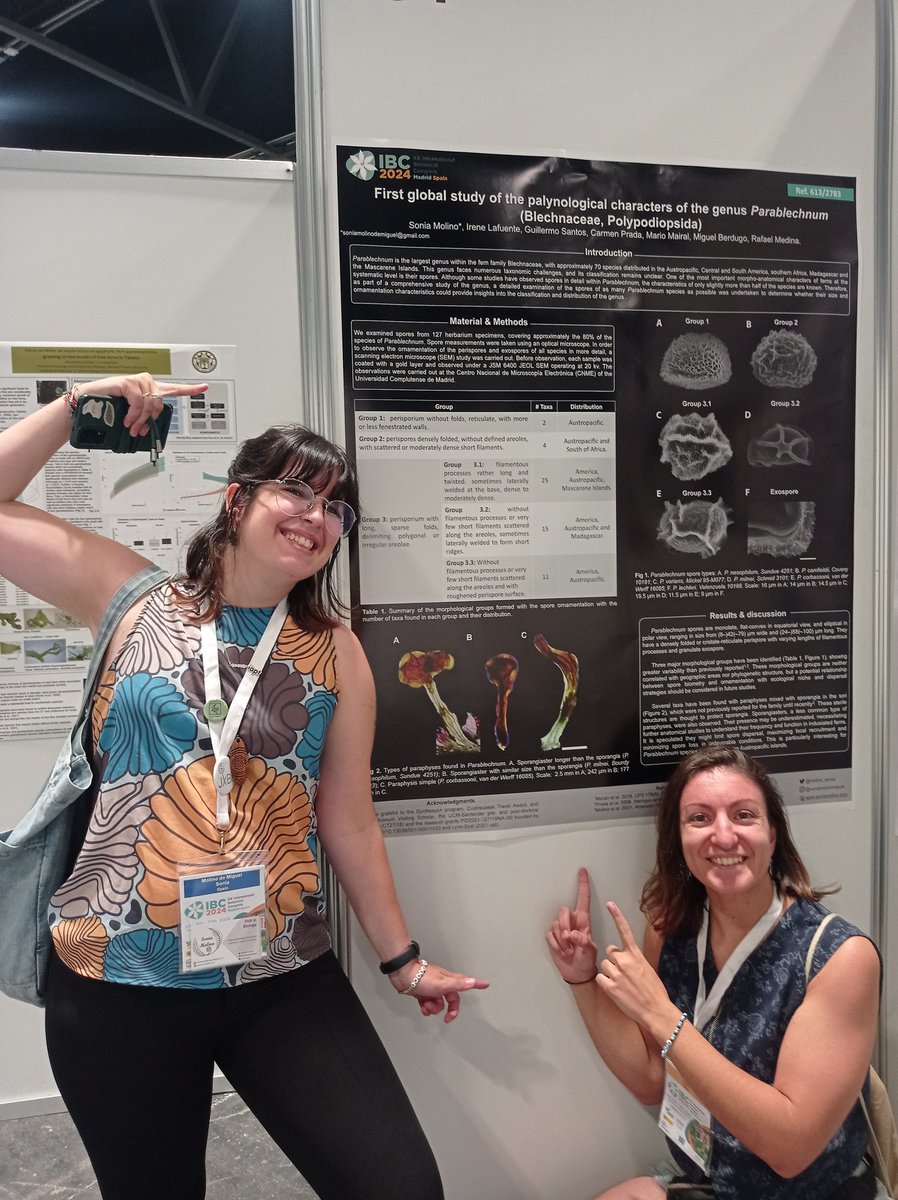 Irene Lafuente (@biologalafuente) on Twitter photo I am also proud to be co-authoring this poster with my mentor and favourite pteridologist <a href="/molino_sonia/">Sonia Molino</a> at the #IBC2024
How beautiful and interesting are spores of the genus Parablechnum!! I am also proud to be co-authoring this poster with my mentor and favourite pteridologist <a href="/molino_sonia/">Sonia Molino</a> at the #IBC2024
How beautiful and interesting are spores of the genus Parablechnum!!