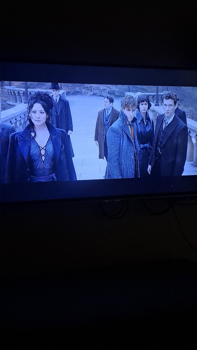 Mis mañanas del finde cuando no trabajo #animalesfantasticos