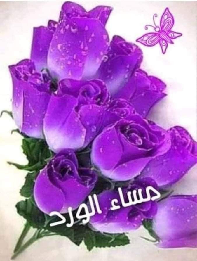 #السبت_البنفسجي
#مساءالخـــــــير 

الصمت باب مغلق اذا مررتم به لا تطرقوه حتى 
لا توقظوا أوجاعا أخذت من أصحابها عمرا 
حتى نامت بسلام  🕊
#اسطول_زعماء_تويترᅠ