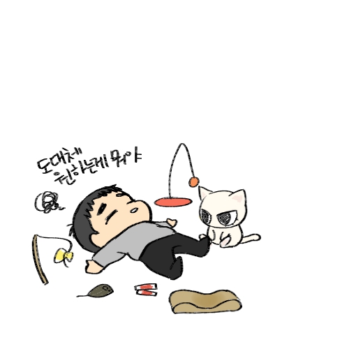 DD38229838's tweet photo. 고양이가 뭘 원하는지 모르겠어요ㅠㅠ https://t.co/alULyLaCAA