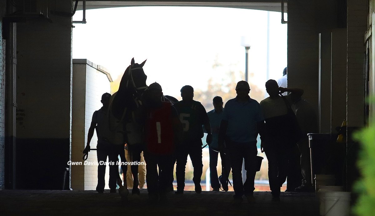 Horsemen: Act now! If you haven't yet sent a comment urging <a href="/FTC/">FTC</a> to require no-effect thresholds in testing, click on link for easy way to do it in under 2 minutes. Please share link w staff, owners, family, friends. Have your voice heard! #PowerInNumbers
mstr.app/4fe0f94b-c195-…