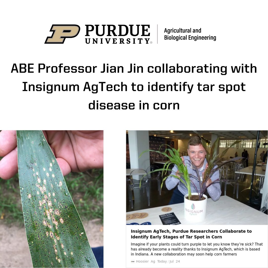 PurdueABE (@purdueabe) on Twitter photo His LeafSpec(TM) device will be used to determine if color changes can be seen faster and more clearly. Tar spot dramatically reduces yield and spreads quickly, threatening vital crops.
<a href="/PurdueAg/">Purdue Agriculture</a> <a href="/PurdueEngineers/">Purdue Engineering</a> <a href="/GoldenSwordJin/">Jian Jin</a> <a href="/INCornFarmers/">Indiana Corn</a> <a href="/PurdueResFound/">Purdue Research Foundation</a> His LeafSpec(TM) device will be used to determine if color changes can be seen faster and more clearly. Tar spot dramatically reduces yield and spreads quickly, threatening vital crops.
<a href="/PurdueAg/">Purdue Agriculture</a> <a href="/PurdueEngineers/">Purdue Engineering</a> <a href="/GoldenSwordJin/">Jian Jin</a> <a href="/INCornFarmers/">Indiana Corn</a> <a href="/PurdueResFound/">Purdue Research Foundation</a>