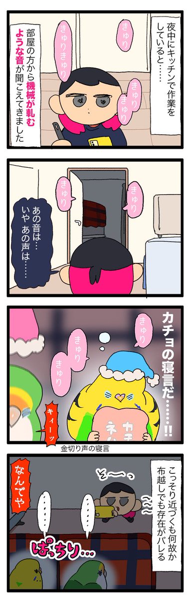 鳥の寝言を撮影しようとして忍び寄るも何故か布越しに存在を察知される飼い主です🙂📱
1183 #えるポピの絵日記かくところ