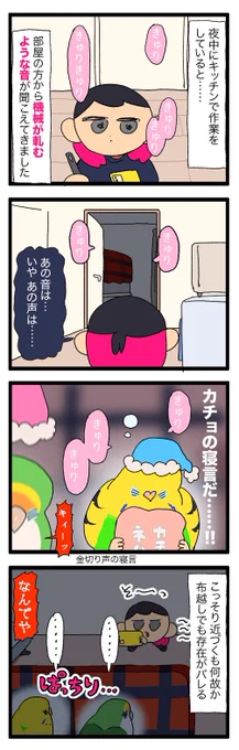 鳥の寝言を撮影しようとして忍び寄るも何故か布越しに存在を察知される飼い主です🙂📱

1183 #えるポピの絵日記かくところ 