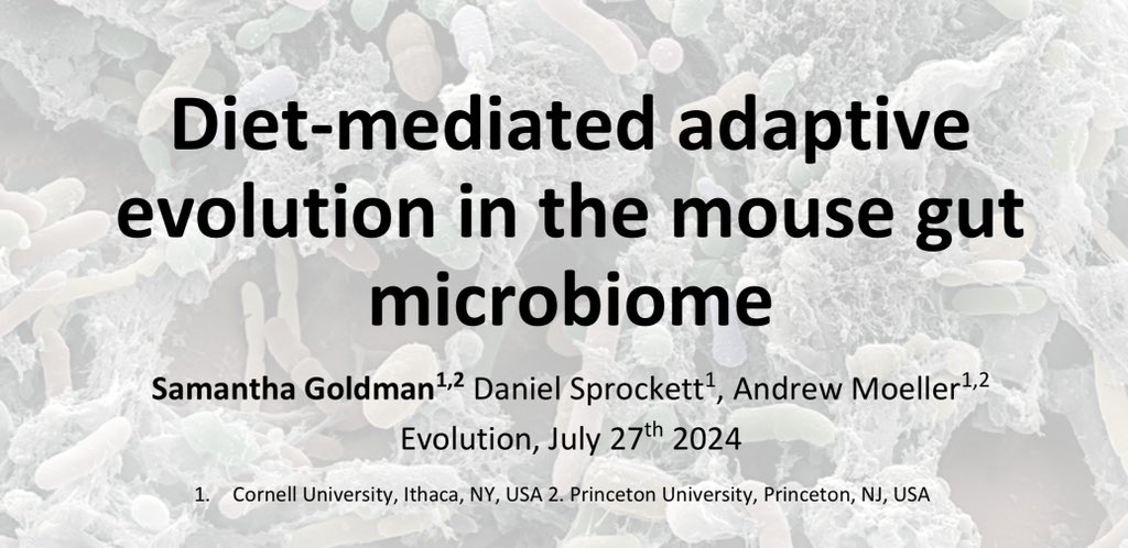 Excited to be at #Evol2024 in Montreal this week!

Come check out my talk **today at 3:15** in room 520D in the Evolutionary dynamics of animal-microbe symbioses symposium!