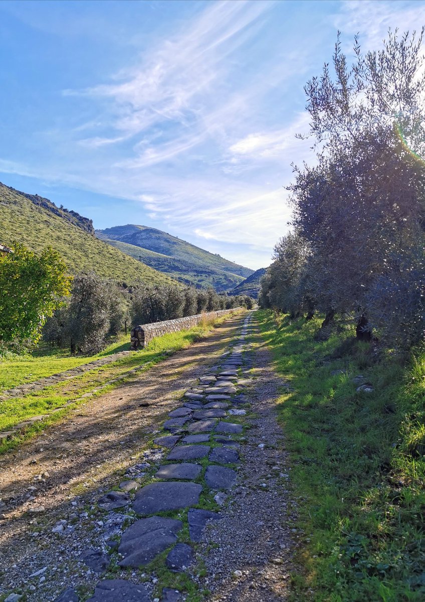 🎉 La Via Appia è diventata Patrimonio Mondiale UNESCO! 🇮🇹 È il 60esimo sito italiano riconosciuto, Scopri la bellezza e la storia di questa antica strada nel tratto che attraversa il #ParcoAurunci #ViaAppia #UNESCO #PatrimonioMondiale #Italia #Cultura #Storia <a href="/ParchiLazio/">ParchiLazio</a>