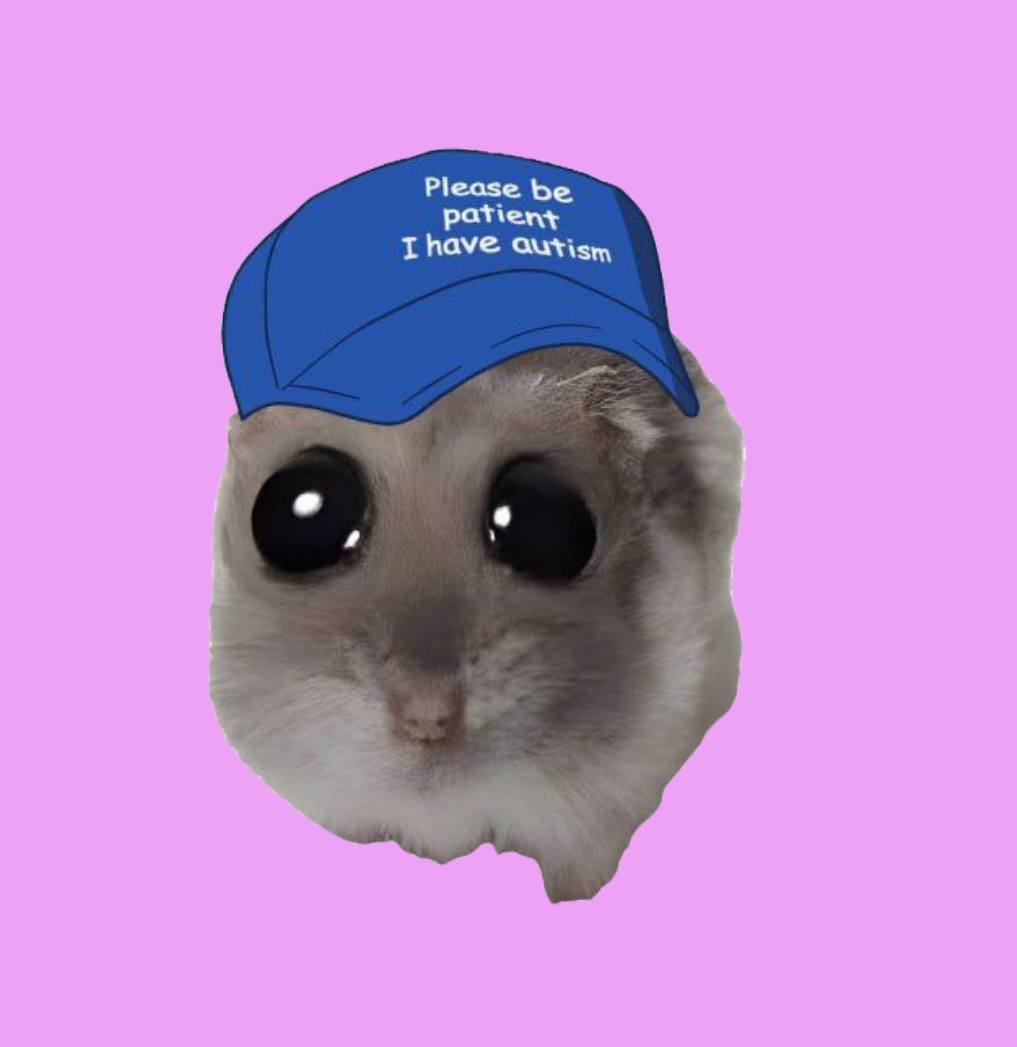 Coquette_erc20's tweet photo. Meet COQUETTE HAMPTER, the cutest and saddest hamster on ETH.
$COQ is the symbol of desperation and sadness. His existence is insignificant and his motto is FML.
Life is all about money, he has none and and he's tryna get famous at least. Help a hammy with autism pls https://t.co/JrIUAzYvMi