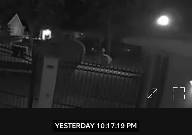 nccmrm97's tweet image. #transporting