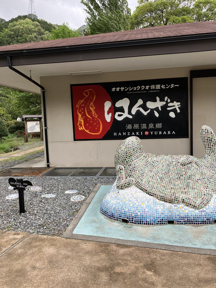 metty8102's tweet photo. はんざきセンターで初めて生のオオサンショウウオを見る
自分が観た時は全員微動だにしてなくて貫禄のある生き物なんだというイメージだった
#湯原温泉 https://t.co/wnPYd6phvN