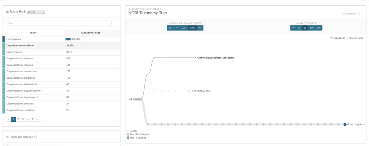 Thidathipw's tweet photo. It's Saturday, however, patients are still waiting for treatment. The doctor is eager to know the results. The doctor's questions are:
1. What is the bacterium?
2. What antibiotics is it resistant to?
3. How many species of bacteria are there? Mixed infection? @nanopore https://t.co/Ry6mi5r3dZ