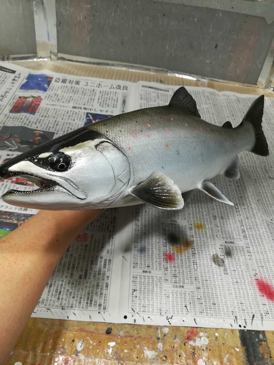 【美品】82cm ピラルク（樹脂製）fish craft REAL製作 美品】82cm ピラルク（樹脂製）fish craft REAL製作 82cm