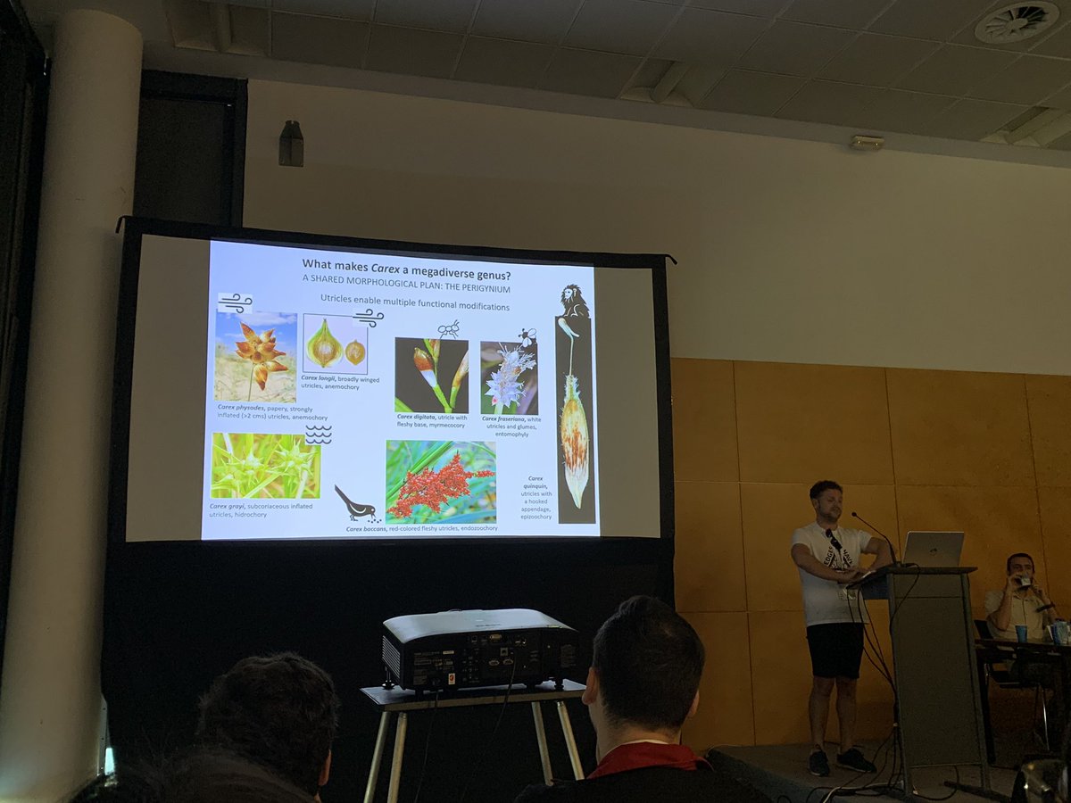 M_Gostel's tweet image. Thank you, @pjimmej for letting us hitchhike around the world with you and #Carex this morning - amazing talk showing the power of mobilizing a huge dataset to understand big #biogeography questions in one of the largest genera on Earth

#IBC2024 #Cyperaceae