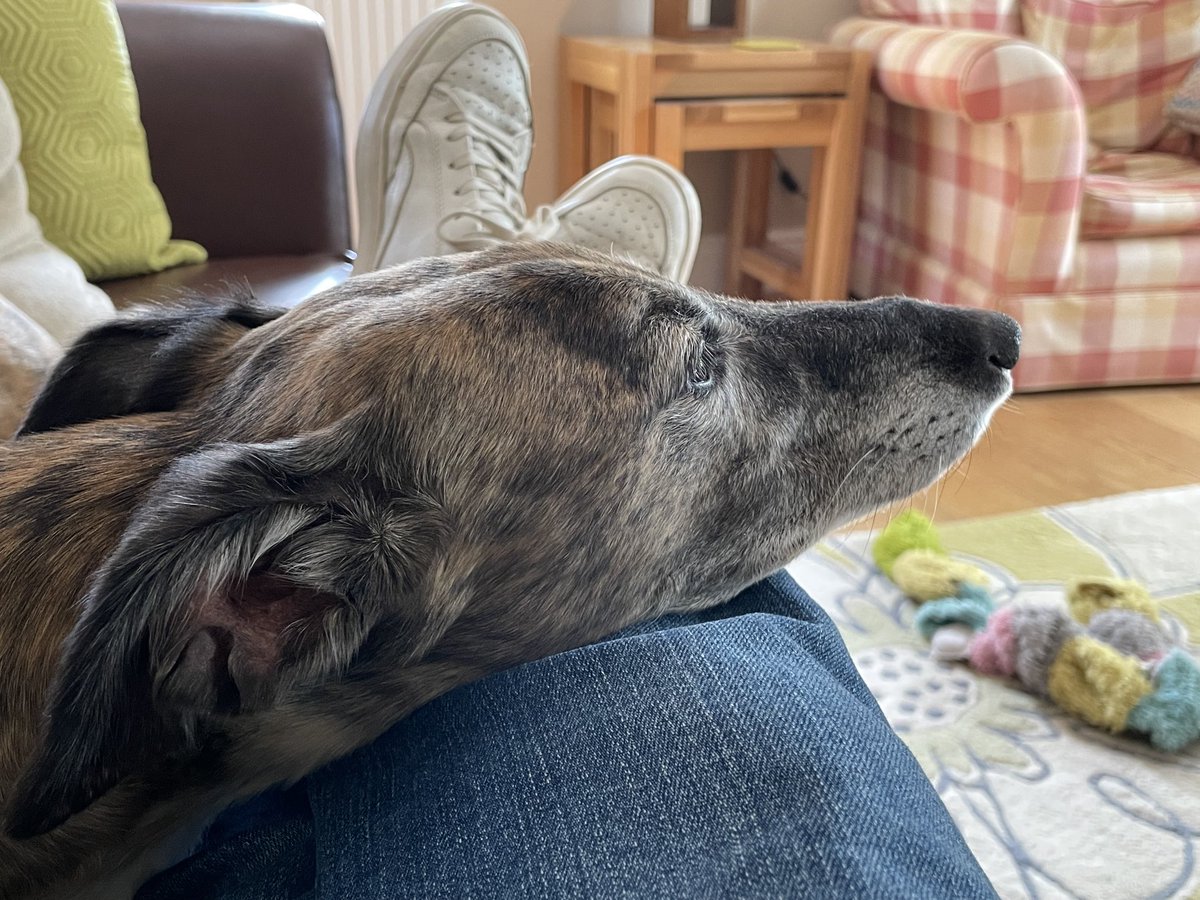 Pondering. The perfect start to a Saturday.