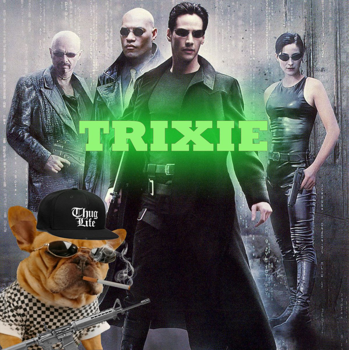 CryptoGoru_'s tweet photo. @thisisdjen I see you also like dogs :)

🐶The first dog to escape the Matrix, Trixie.🐶

CA - JD6go6i24NCwSLKKU2xuDpZneZBYq8dEMWJR33Hypump https://t.co/eQNoHRuDO8