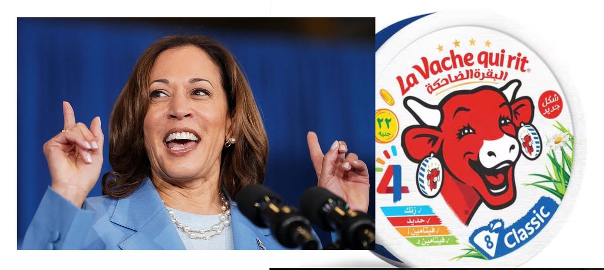 If I need to  trust a laughing creature, I trust in La Vache QuiRit,More than any one of the Democrat Party .
as a Syrian,after Obama experiance I think his student Harris will be even Worst, Its time for Democrats 2takes a long vacation <a href="/elonmusk/">Elon Musk</a>  <a href="/KamalaHarris/">Kamala Harris</a> <a href="/realDonaldTrump/">Donald J. Trump</a>