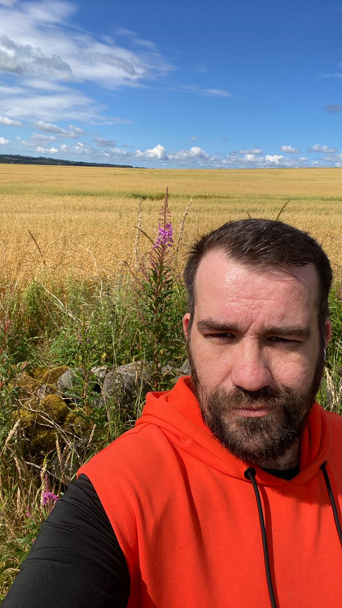 Am ready to be naughty but is running through the fields of oats as naughty as wheat? 
Asking for a basic gay that doesn’t know his crops…