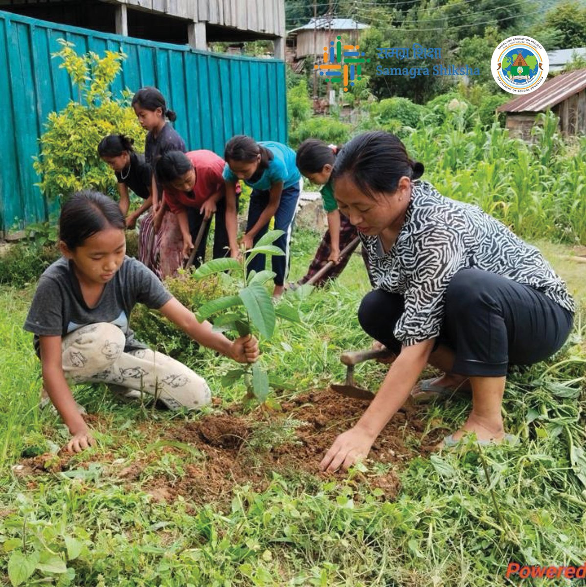 nectarnagaland's tweet photo. Schools across Nagaland observed Day 6 of Shiksha Saptah (Education Week) by organising cleanliness and plantation drives. (1/2)
#Plant4Mother #एक_पेड़_माँ_के_नाम #ShikshaSaptahNagaland #4yearsofNEP #ShikshaSaptah #NEP2020 https://t.co/oRVAmBFaS8