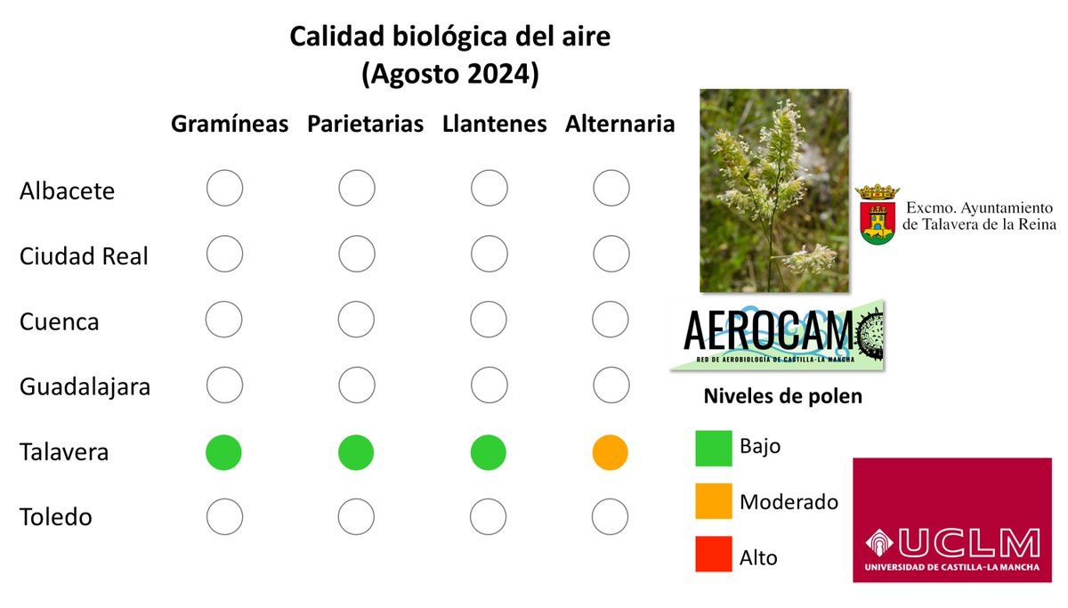 Los niveles de polen son bajos y los de esporas de Alternaria moderados.  En agosto se prevén  niveles bajos para la mayoría de tipos polínicos excepto para salsola 🌱que pueden ser moderados a  mediados-finales de  agosto  y representan la principal causa de alergias estivales