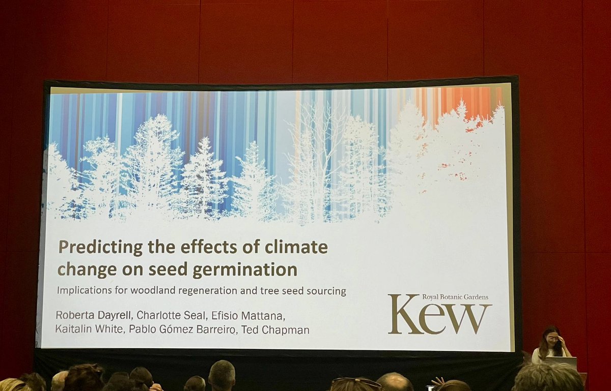 This week, I shared some preliminary findings at #IBC2024 on predictions of climate change impacts on the germination of UK tree seeds. I was also inspired by many amazing talks and had some great discussions that sparked new ideas!