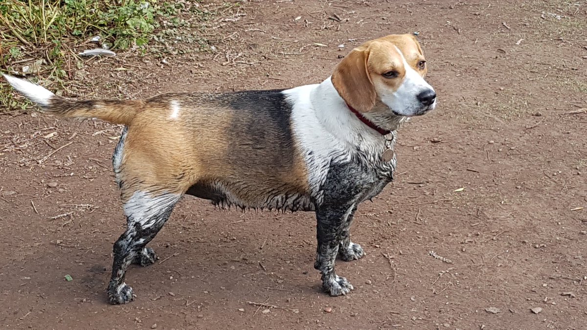 It's a good thing I love you, Rosie.