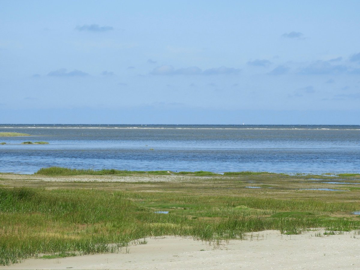 WNapBaukema's tweet photo. Het #GroeneStrand liep gistermiddag onder bij hoog water #vloed door stevige wind. Even geen badstrand #Ballum #Ameland #zomer https://t.co/gqYDPs6Dgf