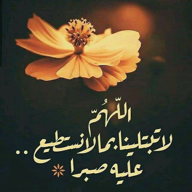 kmohanad28's tweet photo. https://t.co/Iyz4NWV1Al