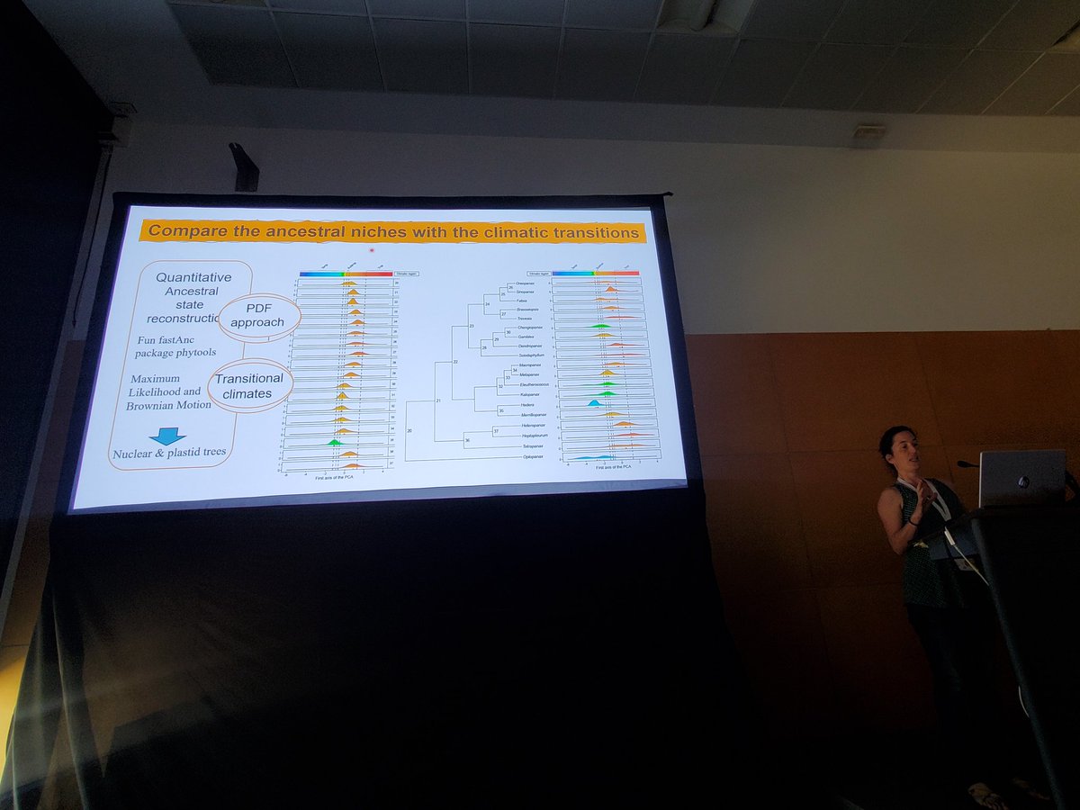 ry_folk's tweet photo. Great use case of #utremi approach looking at tropical-temperate transitions in Araliaceae by Nagore García Medina #IBC2024 #Madrid https://t.co/Xgpssi4rgi
