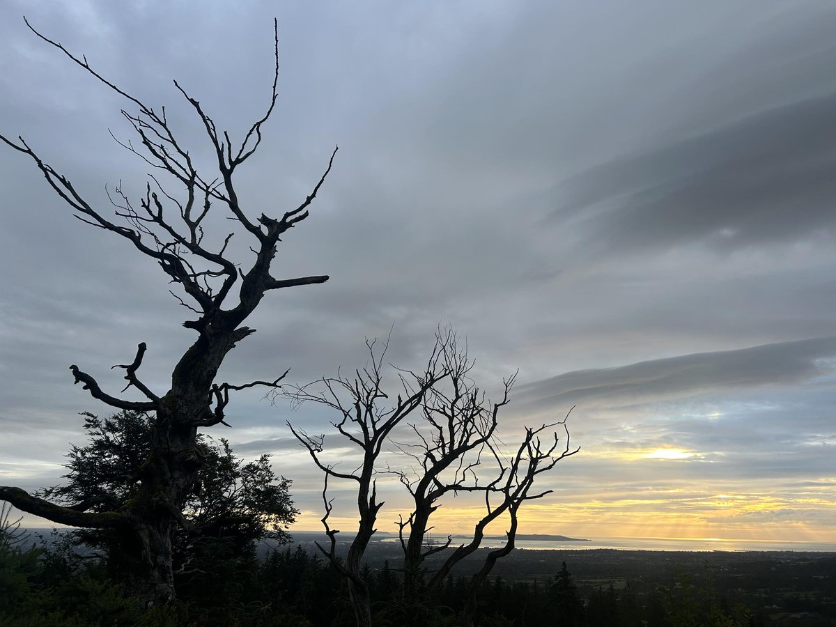 SavetheHellfire's tweet photo. Rampikes at sunrise #Hellfire #Dublin #Ireland https://t.co/KCJ7bsinP7