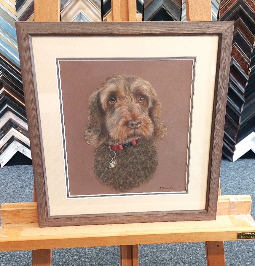 Otters Pool Studio tweet media