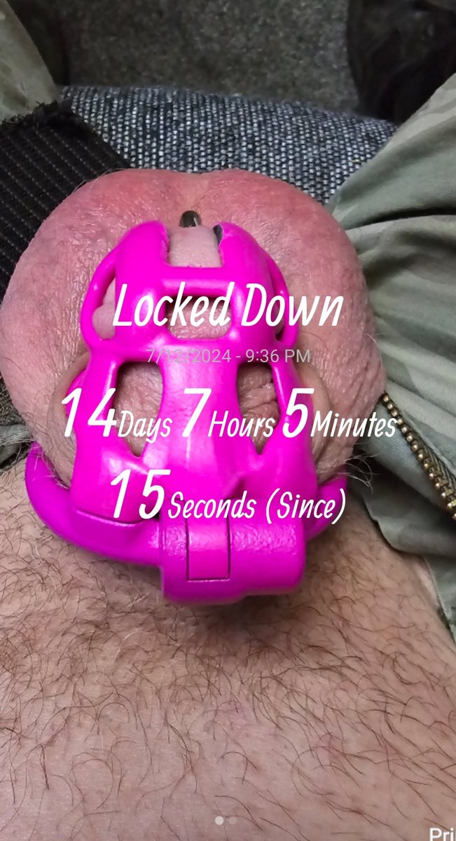 BetaPupAnk's tweet photo. Still adding hehe. Good girls Stay caged. Gotta love these @KINK3Ddesigns cages even personally modded. #lockedpup #pamperpup #princesspup https://t.co/XRabKM3hzl