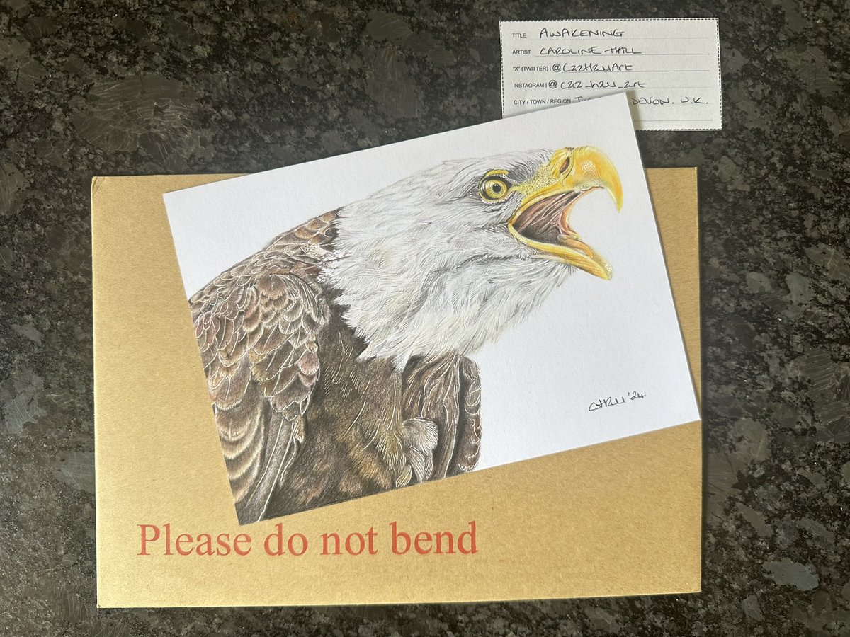 By the skin of my teeth it’s in the post and winging it’s way to @millhousemck for #postcardartexhibit24 <a href="/PAEartforacause/">POSTCARD ART EXHIBIT - Art for a Cause 🌏 🎨</a> 

“Awakening”

#postcardartexhibit #artistssupportingartists #artforacause #artistshelpingartists