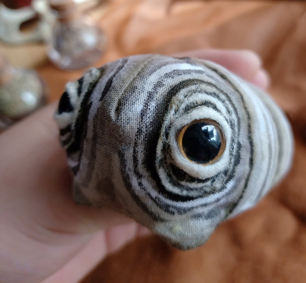 MrsBsInsects's tweet photo. .
Specialy hatched for a customer! Anti-stress Maggot ... creepy ! 🐛💕
.
#textileartist #insect #insectplush #artdoll #biginsect #plushartist #plushiart #creapy #creapyartist #insekt #insektplush #artdoll #maggot #maggots #biginsect #plushartist #bigmaggot #spooky https://t.co/mQVlpqavOH