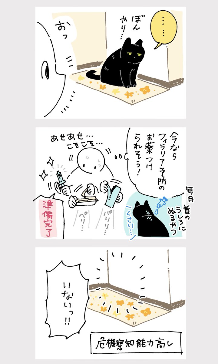 本日のろんさん 10秒目を離した間にこつぜんと消えていた