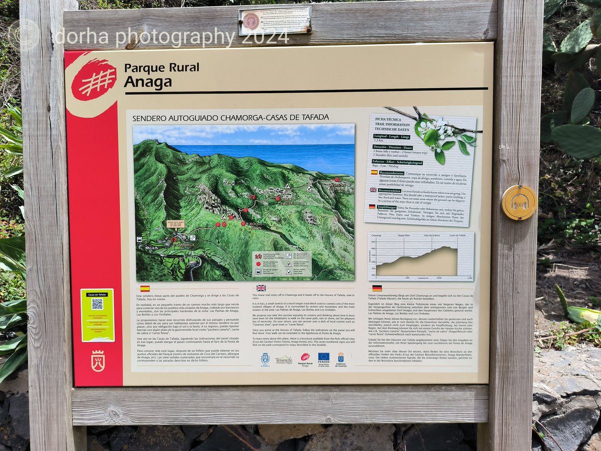 dorha_photos's tweet photo. #Anaga #mountains #Tenerrife #Spain #Chamorga #trip
🏞️⛰️🥰🥾🦎
This was our walking tour. We started from Chamorga, past Roque Pilon and came to Casas de Tafada. It was a mountain pass and it was quite windy there. There was fog moving around. In other places it was hot and sunny https://t.co/Xk6Wv0Ckvn