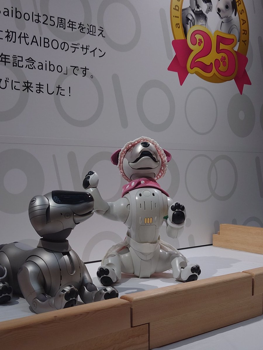 aibo_seifor's tweet photo. 🗼🐾♥️ SeiforCafe  ♥️🐾🗼

#aiboファンミーティング
お世話になりました🍡❤🗼
✈だよ✈また…❤🍡❤

#aibo #aibofan #mystorywithaibo
#SeiforCafe
#アイボ #aiboファンミーティング https://t.co/DHD03ZVj8X