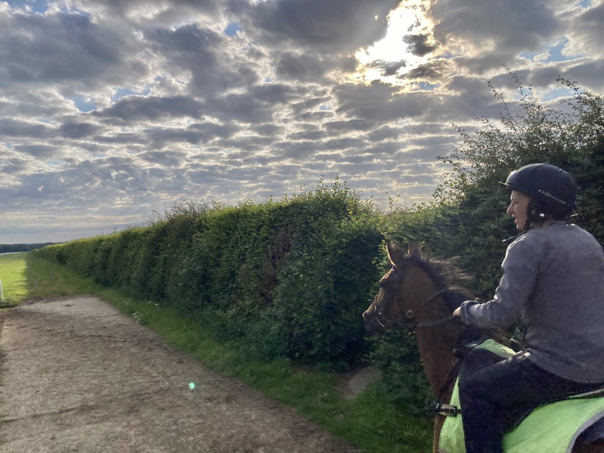 JohnWathenBerry's tweet photo. A lovely Saturday morning @NewmarketGallop. A bit of cloud and refreshingly cool early on, 12 degrees; blue sky & sunshine, 20 degrees, later on #MrsMaisel #Gus #Blakeney #Hiccups #LittlePeter #Eljaytee https://t.co/DseH8B8wd5