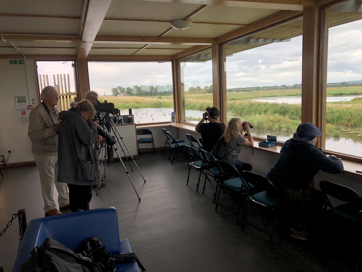 Contrasting emotions over last 24 hours. Headed west for my uncle’s funeral &amp; assumed a non-birding weekend awaited. But popped into <a href="/RSPB_BurtonMere/">RSPB Burton Mere Wetlands</a> this morning &amp; found a Pectoral Sandpiper within 30 seconds of arriving.