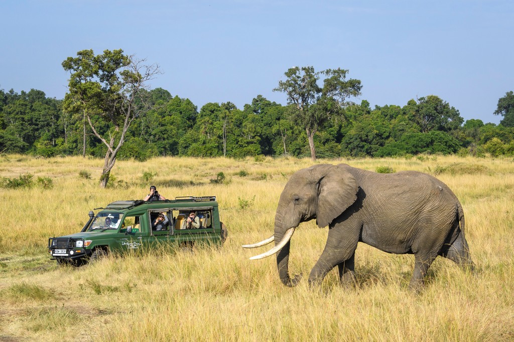 Rainbow Tours (@rainbowtoursuk) on Twitter photo We've been nominated for 'Favourite Tour Operator General Touring' & ‘Favourite Tour Operator Nature & Wildlife’ in the <a href="/wanderlust/">˗ˏˋ V ♡ ˎˊ˗</a> #TravelAwards! 🌟 NNothing is more important to us than making your experience amazing, so we'd love to have your vote! bit.ly/WanderlustAwar… We've been nominated for 'Favourite Tour Operator General Touring' & ‘Favourite Tour Operator Nature & Wildlife’ in the <a href="/wanderlust/">˗ˏˋ V ♡ ˎˊ˗</a> #TravelAwards! 🌟 NNothing is more important to us than making your experience amazing, so we'd love to have your vote! bit.ly/WanderlustAwar…