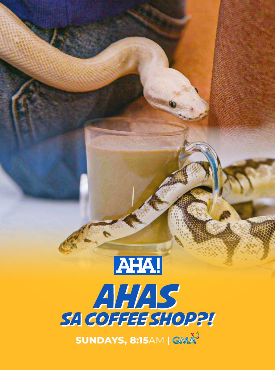 aha_gma7's tweet photo. Sa ating AHA! Storytime, alamin ang kuwento kung bakit walang mga paa at kamay ang mga ahas at gumagapang lang ang mga ito.

AHA-lamin ‘yan ngayong Linggo sa #AHA, 8:15 AM sa GMA! https://t.co/lqnvmHxmnH