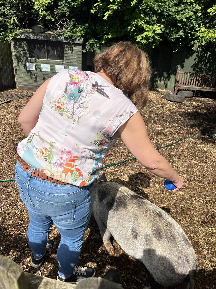 Watersidepigs tweet media