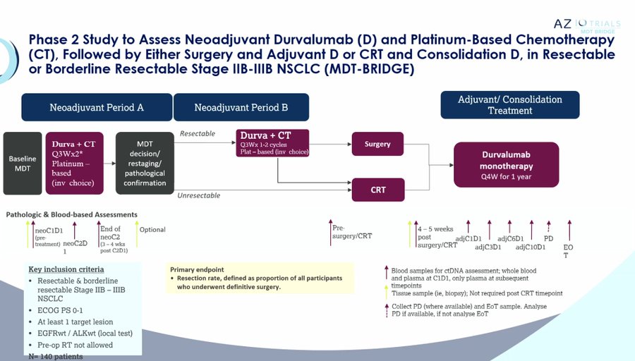 Neoadjuvant