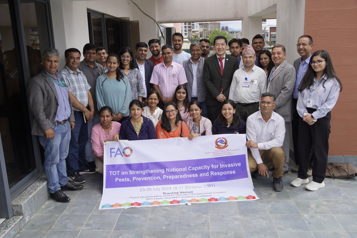 FAONepal's tweet photo. FAO concludes training on strengthening national capacity for invasive pests, targeting officials in prevention, preparedness, and response. #CapacityBuilding #InvasivePests https://t.co/GentuYgyjl