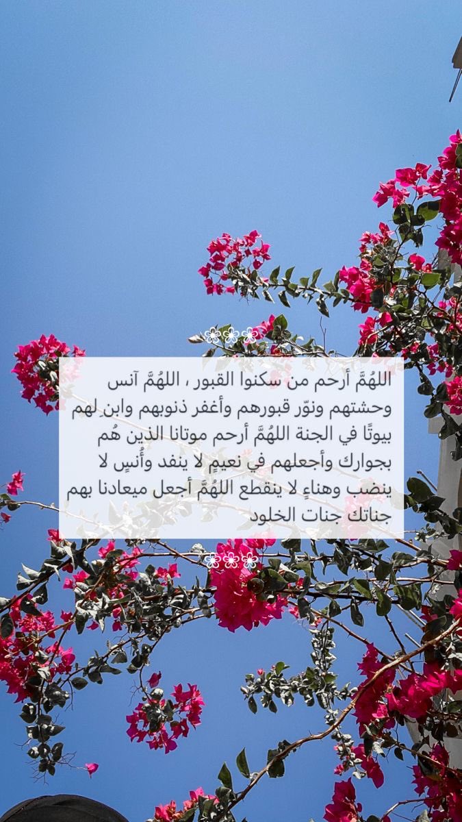 د .هـاجر الخالدي tweet media