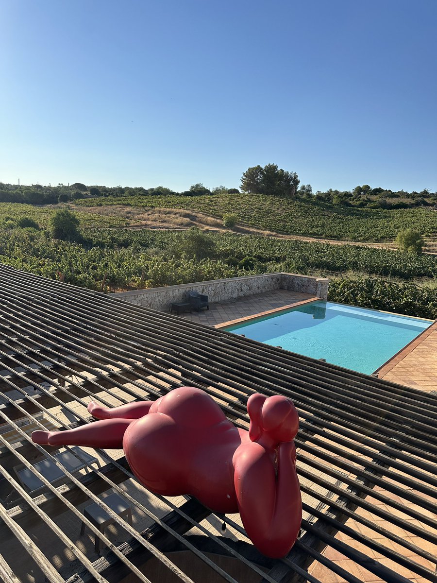 drghosthands's tweet photo. #Vineyard swimming with a nice view life is amazing ! Have a blessed Saturday 🌹 https://t.co/gtqiViF3Kr